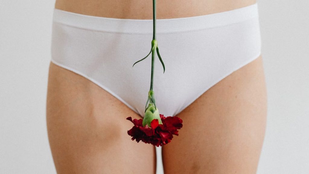 Close-up of woman's hips in white panties holding a red flower, symbolizing femininity and menstruation.