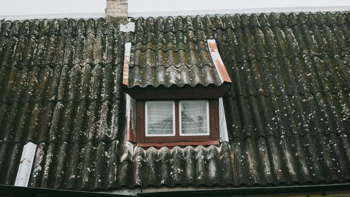 Detailed view of a moss-covered roof with a small window in rural Poland, capturing rustic charm.